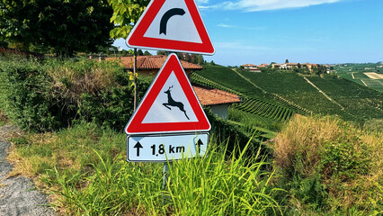 Obraz premium Deer Crossing and Winding Road Signs Overlooking Barbaresco Vineyards