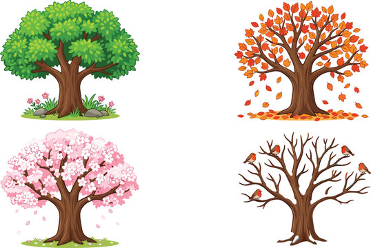 Set of four cartoon trees showing seasonal cycle with spring cherry blossoms green summer leaves orange autumn foliage and winter bare branches vector