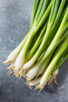 Raw Organic Green Onion Scallions