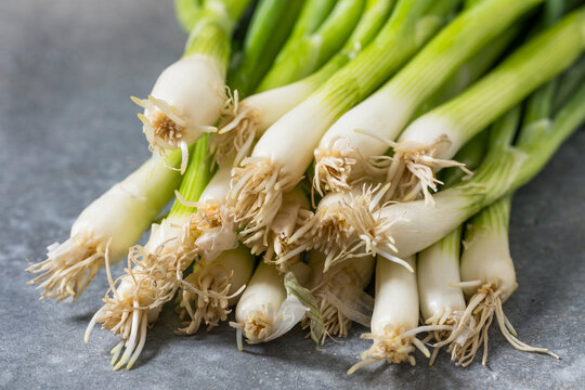 Raw Organic Green Onion Scallions