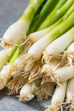 Raw Organic Green Onion Scallions
