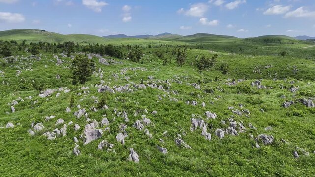 Aerial View of Akiyoshidai Karst Plateau in Yamaguchi Japan, 4K Summer Landscape with Copy Space 19