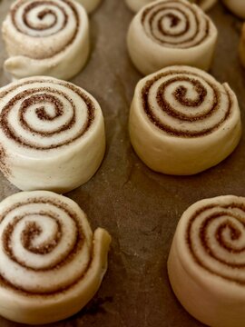 Unbaked cinnamon rolls with spiral swirl pattern arranged on parchment paper rea