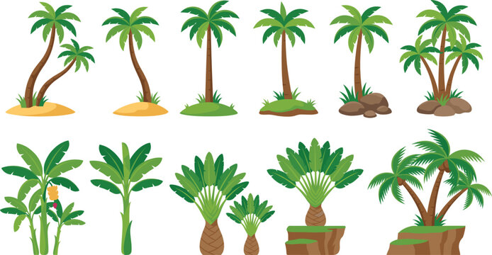 Tropical Palm and Banana Tree Cartoon Vector Set with Coconut Palms Traveller's Trees and Fern Bush Plants for Beach Island Landscape and Game Environment Asset Designs