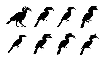 70 Hornbill Silhouettes Collection, Exotic Bird Vector Icons, Tropical Wildlife Graphics, African Avian Species Set, Black and White Ornithology Illustrations 100 © Victor