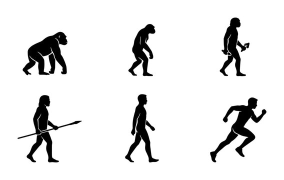 70 Evolution of Man Silhouette Icons: Primate to Runner, Anthropological Stages, Human Development Vector Set 100