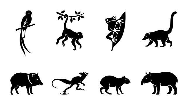 70 Amazon Rainforest Wildlife Silhouettes: Monkey, Tapir, Macaw, Capybara, Coati, Frog, Iguana, Peccary Icons 100