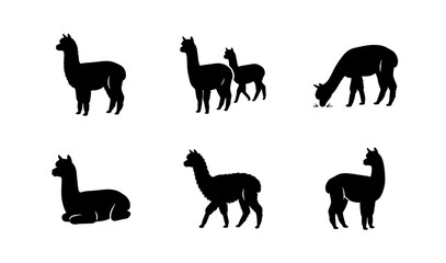 70 Alpaca Silhouettes Collection, Vector Icons Set, Cute South American Camelids in Various Poses, Farm Animals Graphic Resources 100 © Ovijit