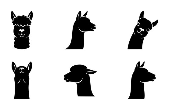 70 Alpaca Icons Set, Black Silhouette Vector Graphics, Cute Animal Heads Collection, Farm Mammal Profile Views, Graphic Design Elements 100