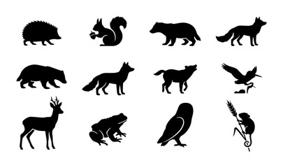 Fototapeta premium 70 Forest Wildlife Silhouette Collection: Hedgehog, Squirrel, Badger, Fox, Wolf, Deer, Frog, Owl, Eagle, Bear, Monkey Icons, Vector Graphics for Nature Design 100