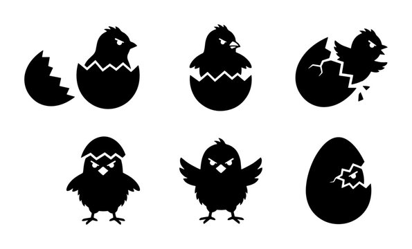 70 Chicks Hatching from Eggs, Set of 6 Black Silhouettes, Cute Baby Birds Emerging, Easter Symbols, Vector Graphics 100
