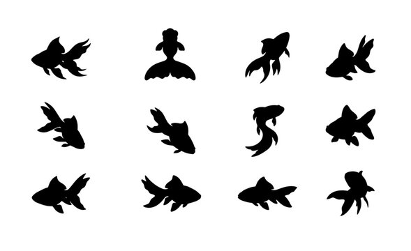 70 Goldfish Silhouettes Collection, Aquatic Animal Icons, Elegant Fish Vector Graphics, Underwater Life Elements for Design 100