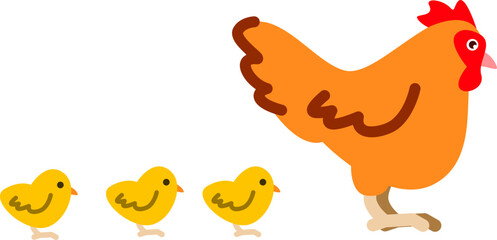 mother hen with her chicks © tegar