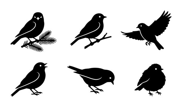 70 Charming Bird Silhouettes Collection, Six Vector Icons for Nature and Wildlife Designs, Simple Black Avian Graphics 100