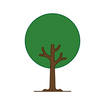 Stylized Circular Tree Vector Illustration Modern Minimalist Botany Concept