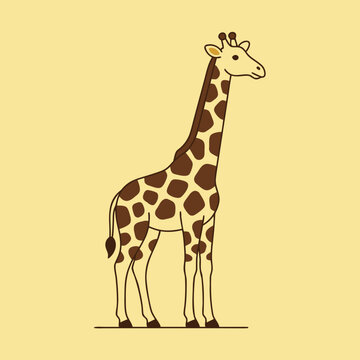 Minimalist Cartoon Giraffe Illustration Cute Safari Animal Character Design