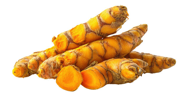 Fresh turmeric roots rhizome spice organic ingredient isolated on the transparent background