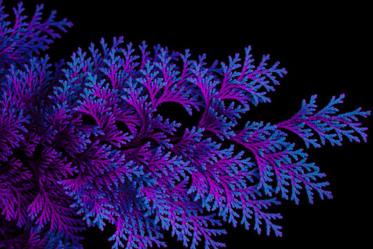 Glowing neon purple and blue tropical leaves isolated on black. Futuristic bioluminescent plant background design.