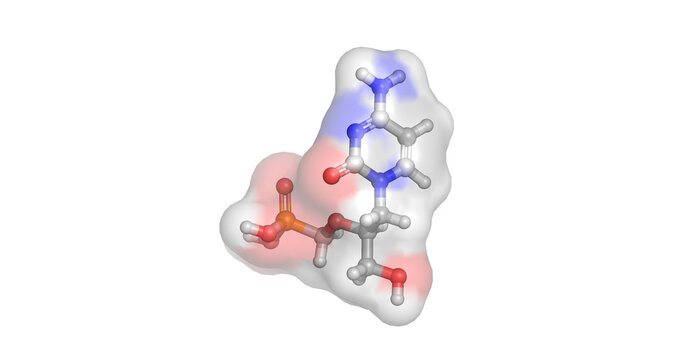 Cidofovir, injectable antiviral nucleoside phosphonate analog for cytomegalovirus retinitis, 3D molecule 4K