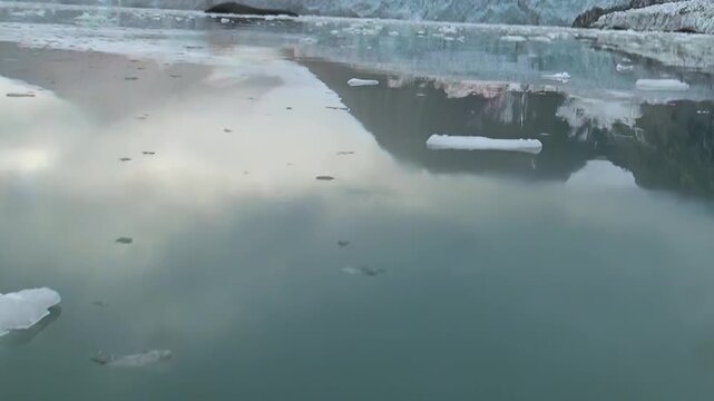 Witness the majestic expanse of an Arctic glacier at daytime. Its colossal icy face is mirrored perfectly on the tranquil, dark waters, dotted with small, drifting ice fragments.