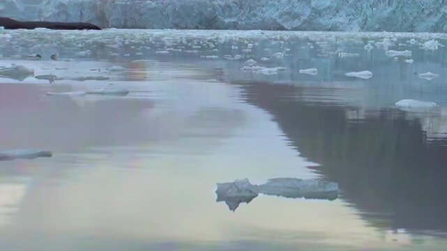 Majestic ice and water merge in Arctic as scattered floes drift lazily on tranquil, mirror-like surfaces. Giant glacier stands sentinel under soft, diffused light, enduring symbol of polar serenity.