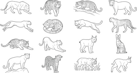 Hand Drawn Wild Cats Collection Featuring Tiger Leopard Lion Lynx and Cheetah © MstAkhi