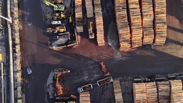 Backhoe loads timber logs onto flatbed truck at busy port yard in Wellington, New Zealand, surrounded by heavy machinery, stacked lumber under golden sunrise light. Aerial drone top down shot