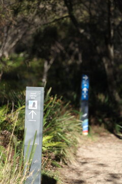 Hiking Trail Directional Signage on a Forest Path in Australia