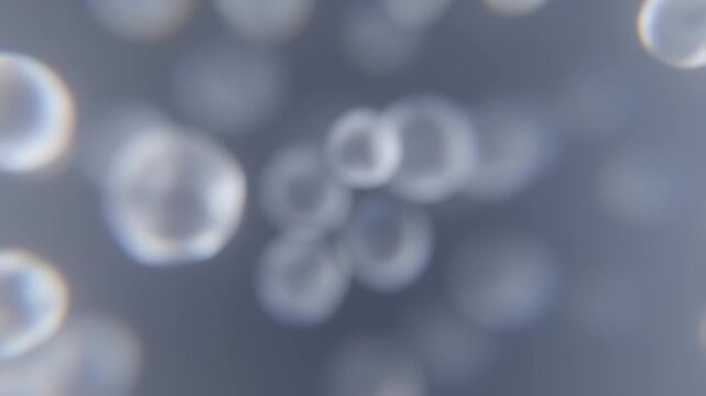 Gray background with white bubbles floating.