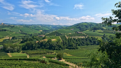 Obraz premium Panoramic View of Lush Vineyards and Rolling Hills in Cuneo Italy