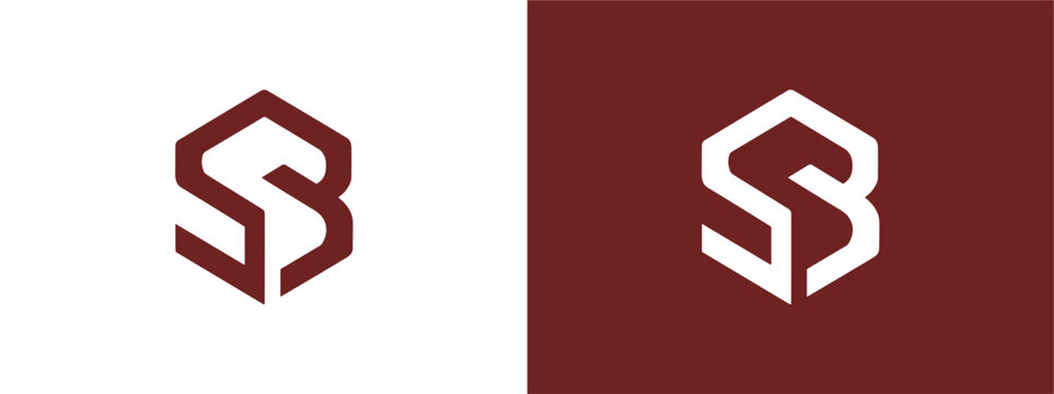 Abstract SB Initial Logo Featuring Simple Contemporary Branding