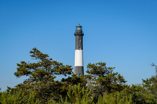 Fire Island Lighthouse Rising Above Pine Trees on a Clear Day