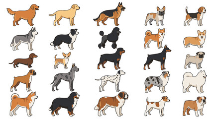 Fototapeta premium A premium vector illustration set featuring a diverse collection of popular dog breeds from around the world