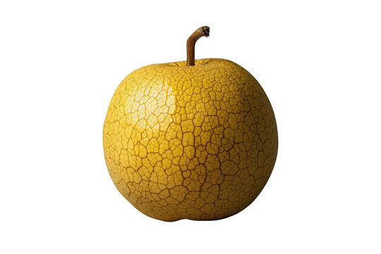 Yellow nashi pear showing netted skin texture, ripe asian fruit with stem on transparent background