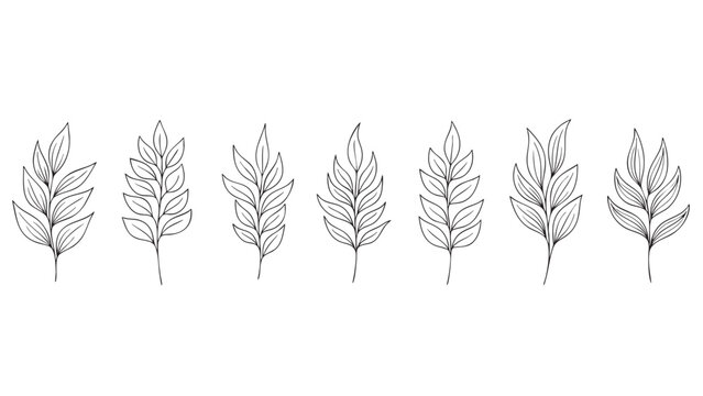 black vector icon of monoline floral bundle with delicate leaves