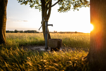 Studnia z kranem i misą na wodę w gaju obok polnej kapliczki na środku pola trawowego wieczorem o letniej porze roku w zachodniej Polsce muskana światłem zachodzącego słońca © mbugajsky
