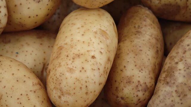 Potatoes sold in supermarkets