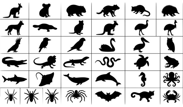 Australian Native Wildlife Silhouette Collection Black Vector Animal Set