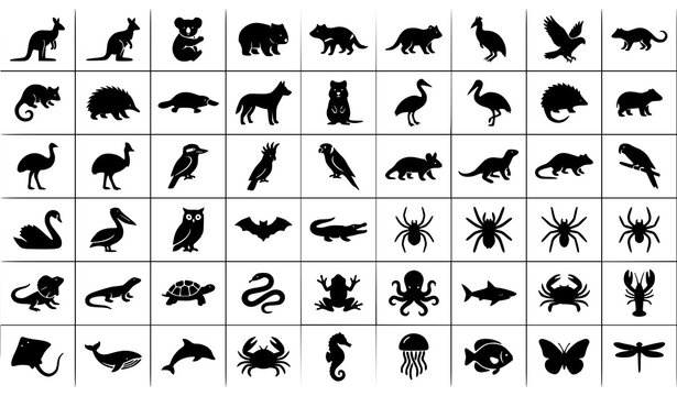 Australian Fauna Silhouette Icon Pack Native Wildlife Black Vector Collection