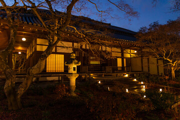 Fototapeta premium 日本の風景・冬 京都 嵐山花灯路 常寂光寺