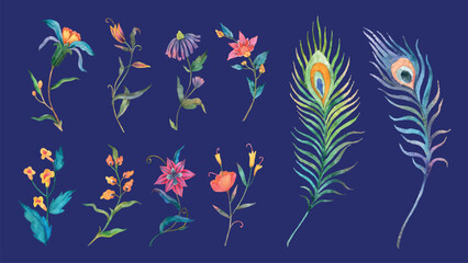 Naklejka premium Colorful floral and peacock feather vector set on dark blue background