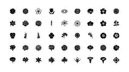 Obraz premium Flowers in a Variety of Distinct Black and White Icon Designs Featuring Flower, Design, Illustration with Vector and Symbol