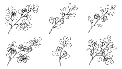 Minimalist eucalyptus branch line art set, 6 botanical leaf and berry sketches, elegant hand drawn floral vector elements for wedding stationery © Muhammad