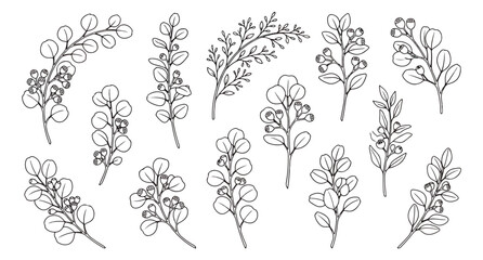 Minimalist eucalyptus branch line art collection, hand drawn botanical leaf vector set, elegant floral greenery sketches for wedding invitations © Muhammad