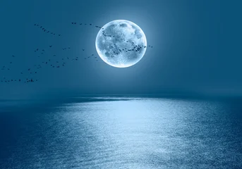 Fantasy landscape -Silhouette of migration birds flying over Full Moon on the sea coast with blue sea "Elements of this image furnished by NASA" © muratart