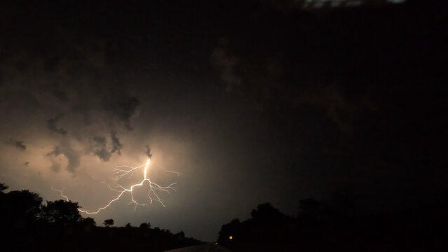 Dramatic lightning bolt strike over silhouetted trees at night