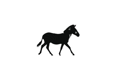 Fototapeta premium Zebra silhouette walks across a plain white surface in a minimalist graphic design composition style.