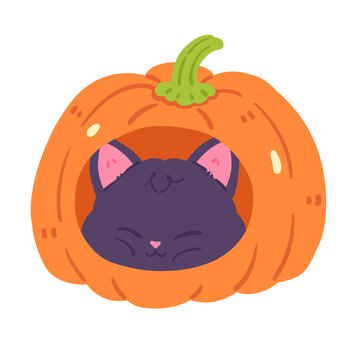 Cute Black Cat Sleeping Inside Pumpkin Illustration