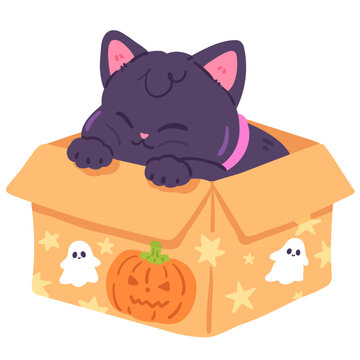 Cute Black Cat in Halloween Illustration Box