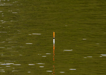 A fishing float (bobber or waggler) sitting vertically on the surface of the water © sebi_2569